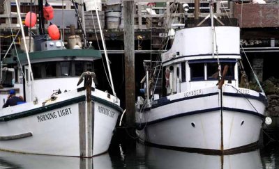 All Things Boats...Dockside