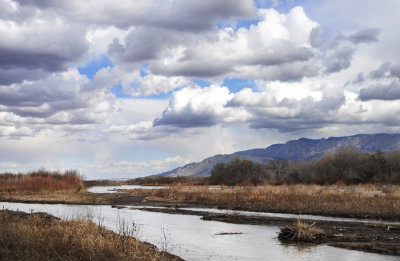 On the Banks of the Rio Grande