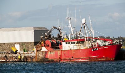 All Things Boats...Dockside