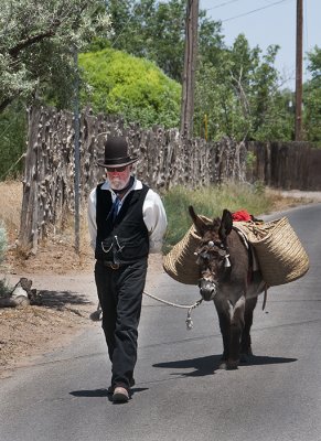 The Mayor and his Donkey