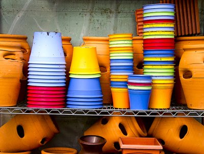 Color in the Shed