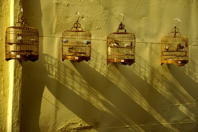 Bird Cages, Macau