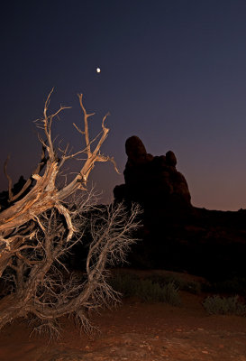 Moon over