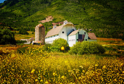 Mc Polin Barn