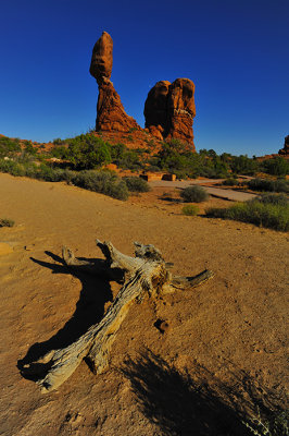 _DSC3481.JPG