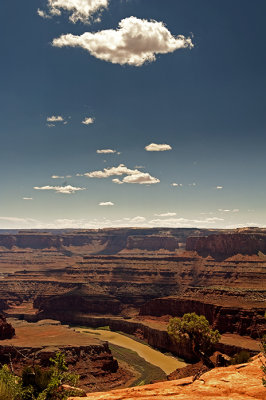 Dead Horse Point Lookout