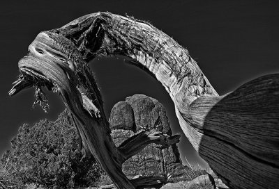 Textures at Arches