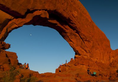 Window Arch