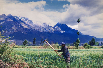 Field Worker, Yunnan Province