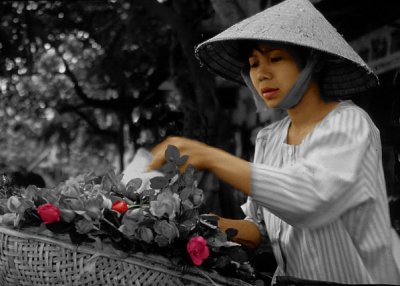 Flowergirl, Hanoi