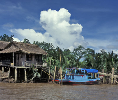 Mekong Delta Home