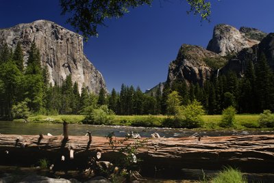 Merced River on Yosemite Valley Floor