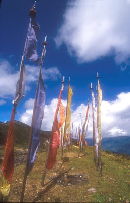 Prayer Flags on a Ridge
