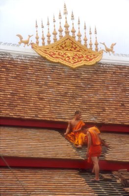 Temple Roof Work