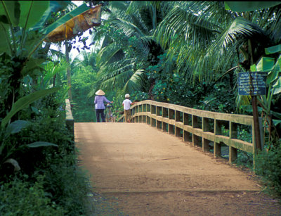 Mekong Delta Bridge