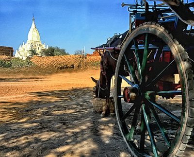Horse Carriage / Old Burma