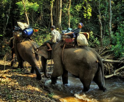 On a 3-day Elephant Trek & River Rafting Trip
