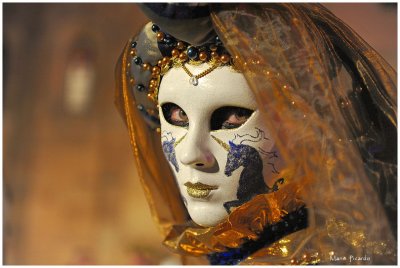 Carnaval Vénitien1390.jpg