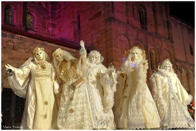 DSC_1264.jpg
