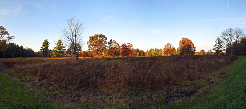 Panorama_6268_79.JPG