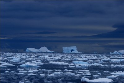 Cierva Cove Antarctica  DSC_3581.JPG