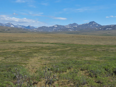 Teller Road