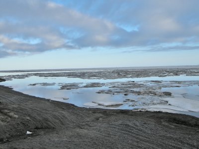 Packis / Pack ice