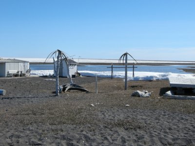 Hunter's Camp