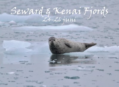 Seward & Kenai Fjords