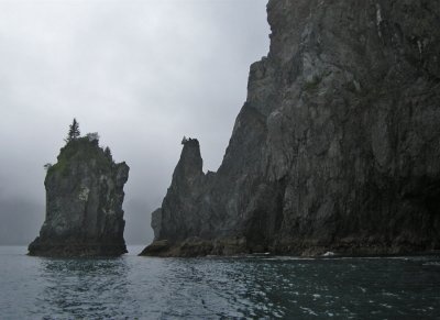 Resurrection Bay, Kenai Fjords