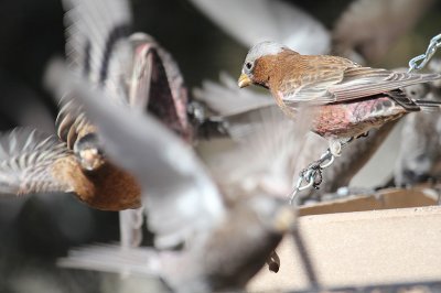 IMG_4823.JPG