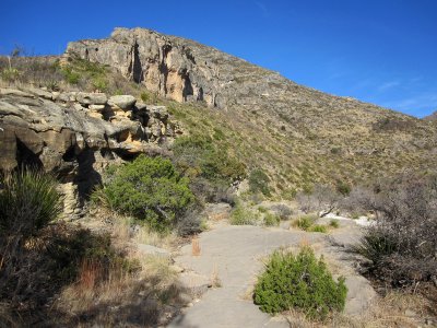 McKittrick Canyon_0167.JPG