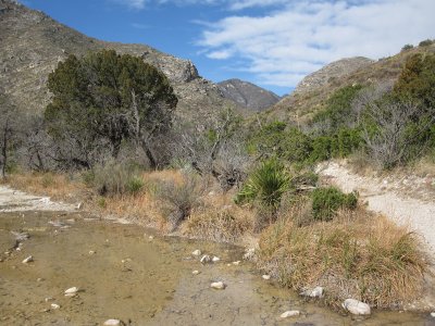 McKittrick Canyon_0174.JPG