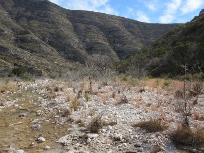 McKittrick Canyon_0176.JPG