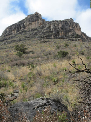 McKittrick Canyon_0187.JPG