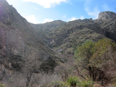 McKittrick Canyon_0194.JPG