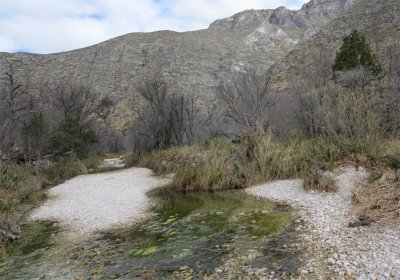 McKittrick Canyon.jpg