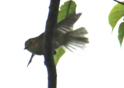 IMG_6802.jpg