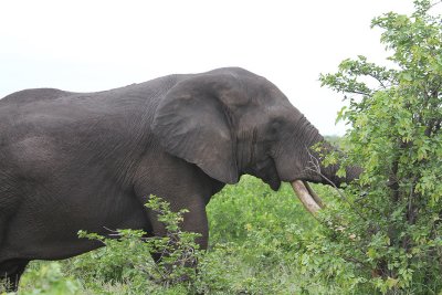 IMG_3169.JPG