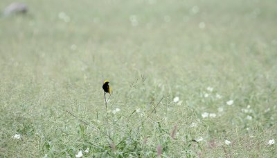 IMG_3190.JPG