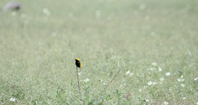 IMG_3191.JPG