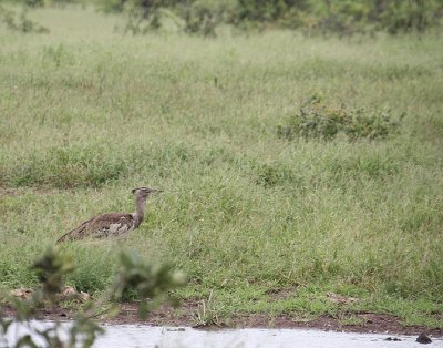 IMG_3214.JPG