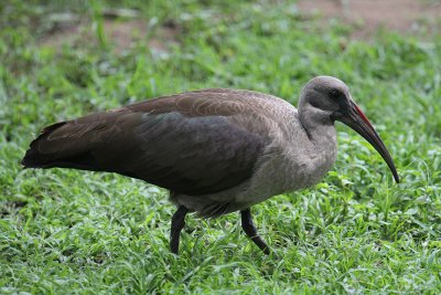 IMG_3277.JPG