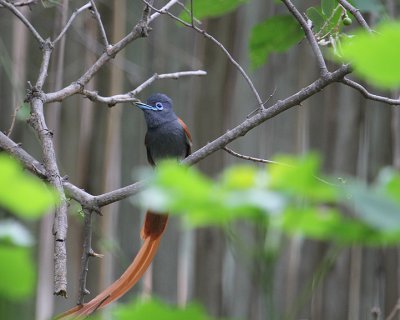IMG_3301.JPG