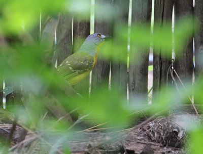 IMG_3302.JPG