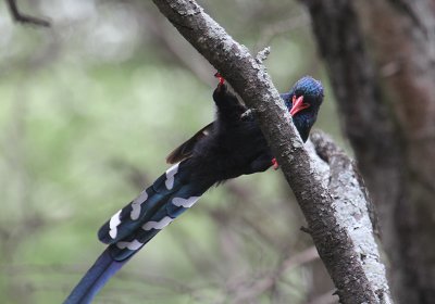 IMG_3346.JPG