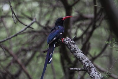 IMG_3365.JPG