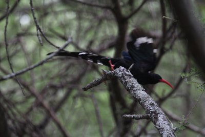 IMG_3366.JPG