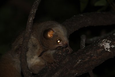 IMG_3504.JPG