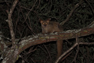 IMG_3509.JPG